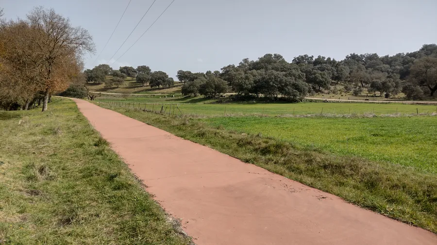 Imagen de Artículo de Blog: Cyclotourisme en Andalousie: 10 itinéraires entre oliviers, sierras et côte