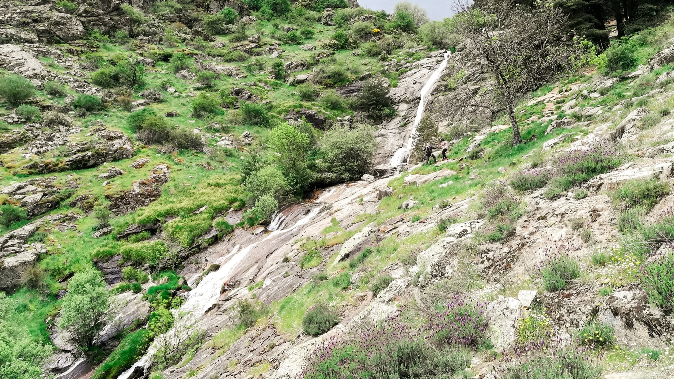 Imagen de Artículo de Blog: cmh3nlqrr006r12svke504fln