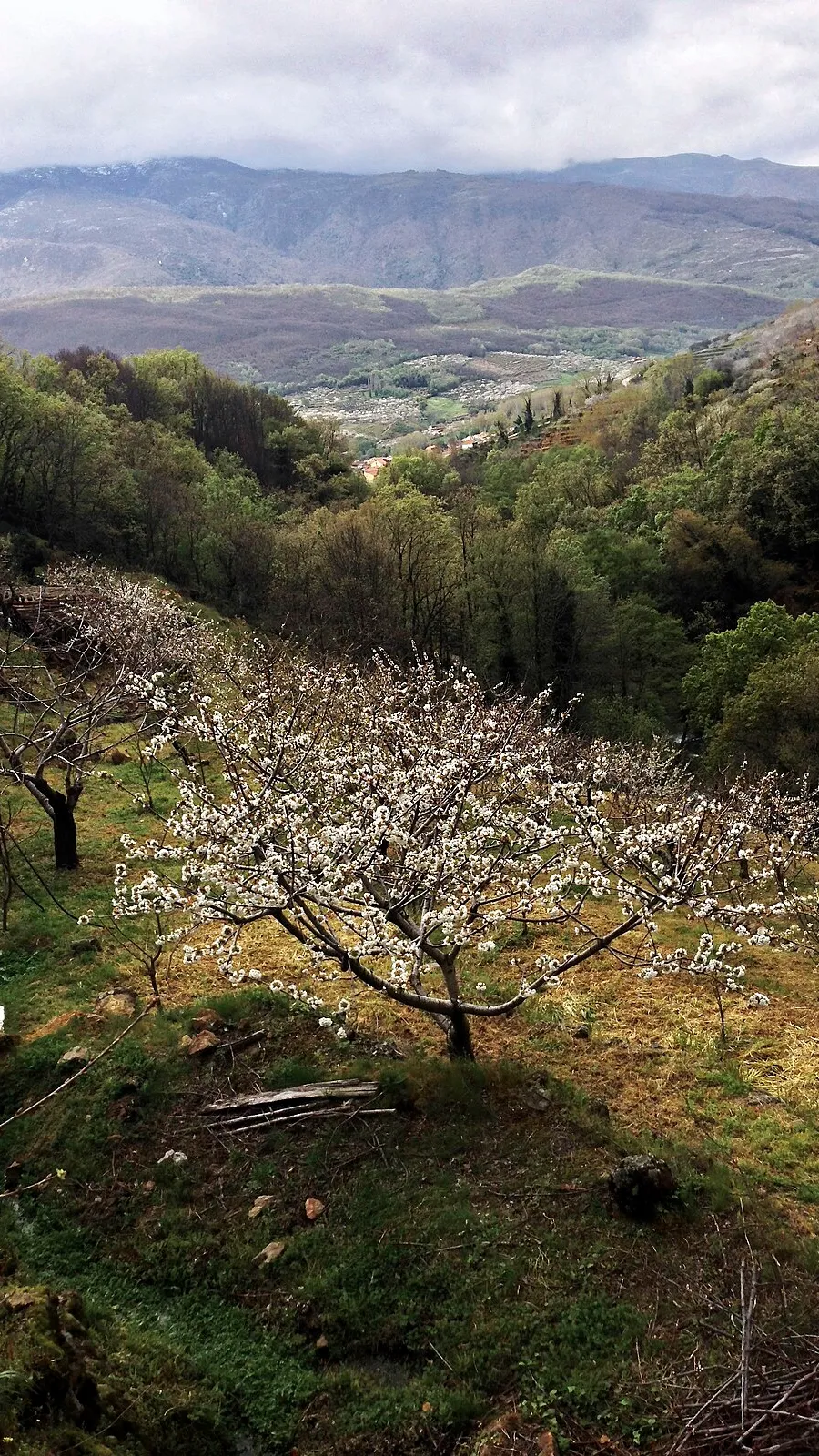 Garganta de los Infiernos