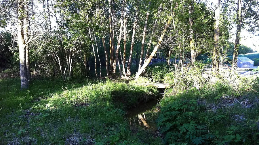 Höhlen von San Marcos