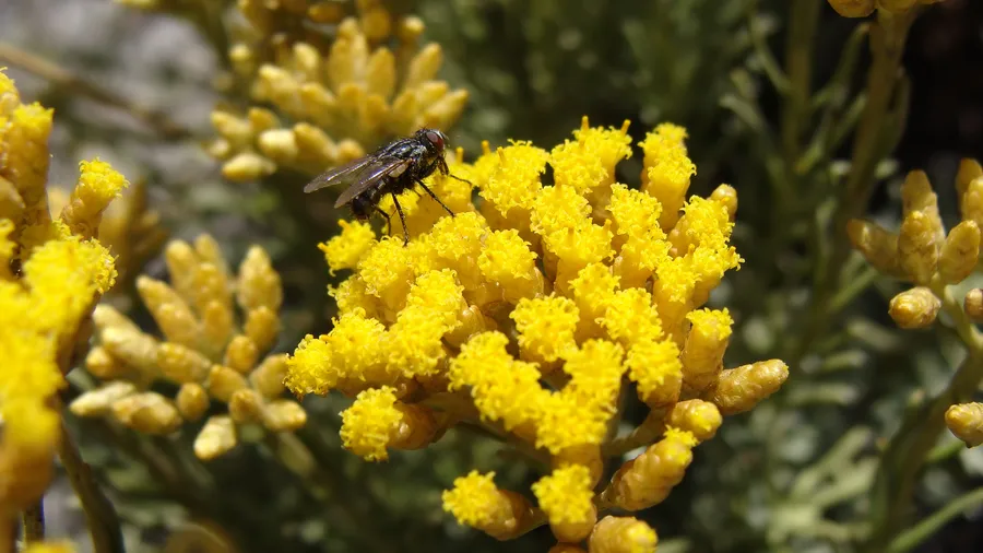 Imagen de Región: cmcjdd6f80069ik8prmdcr3wj