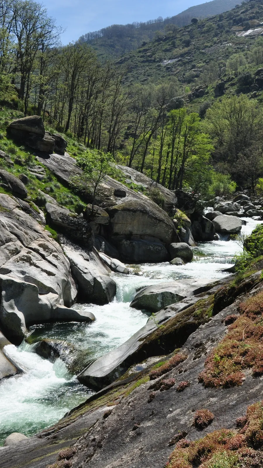 Jerte River Natural Pools