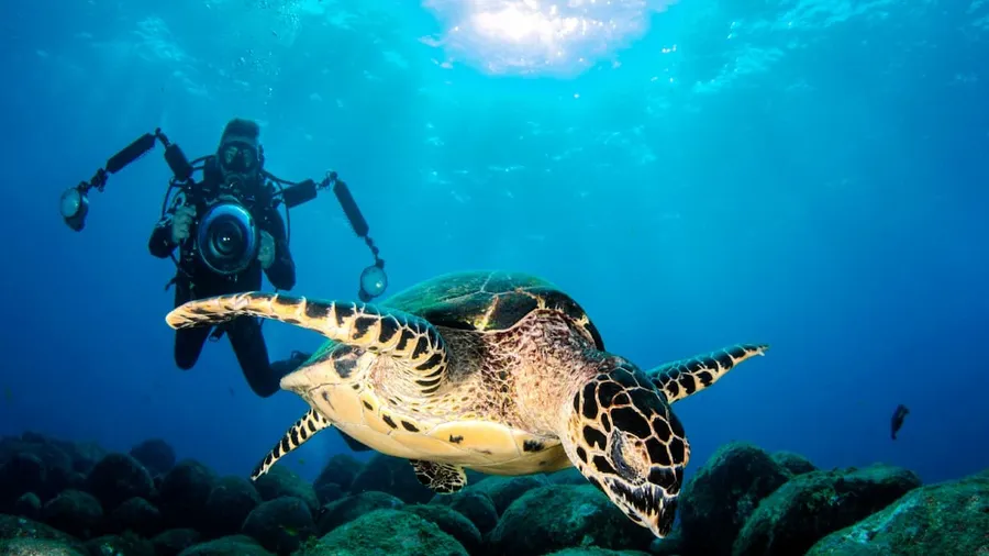 Submarinismo en España: los 10 mejores spots de buceo del Mediterráneo y el Atlántico