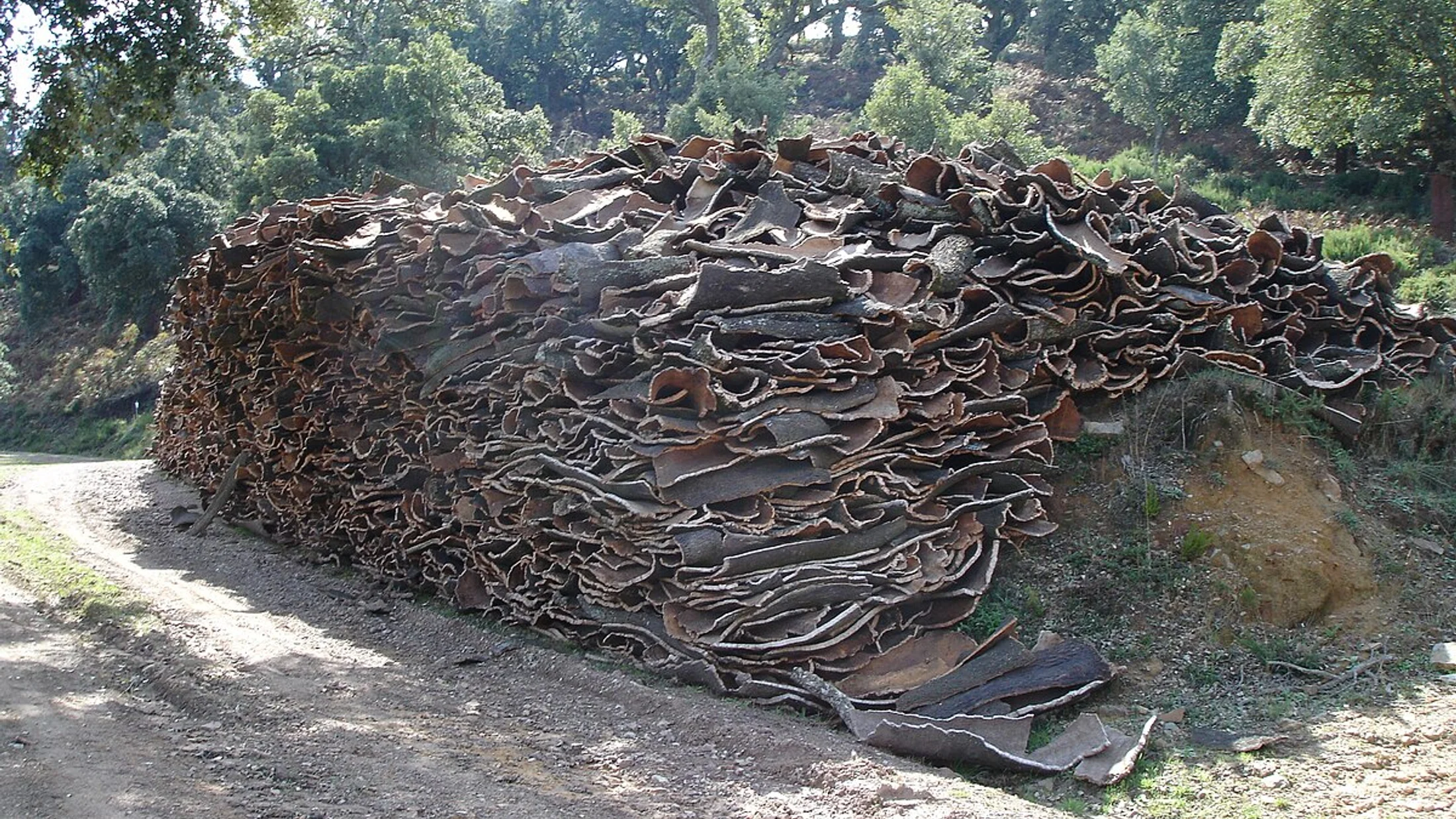 Cortes de la Frontera