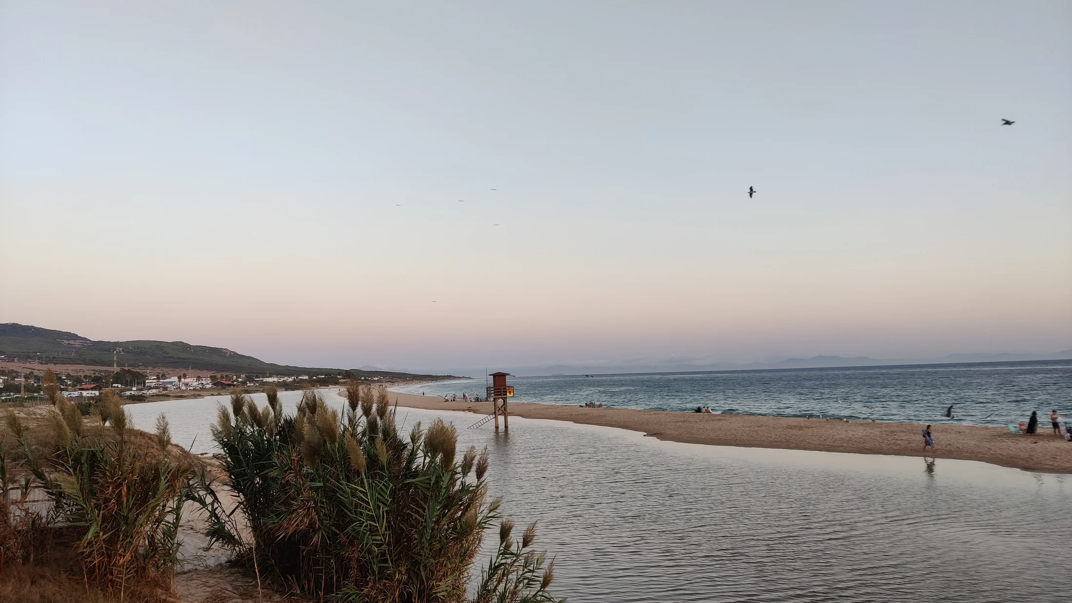 File:Bolonia (Tarifa)   IMG 20220917 202455.jpg
