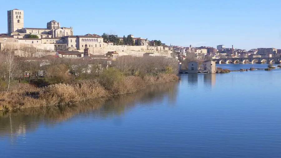 Zamora