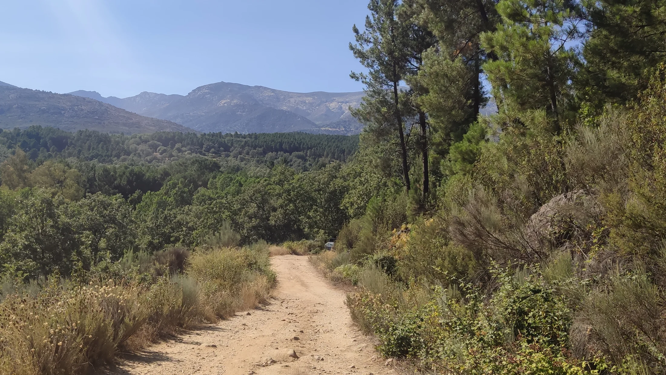 Imagen de Región: cmcj1wlbf0006phyj2qa6n1mq