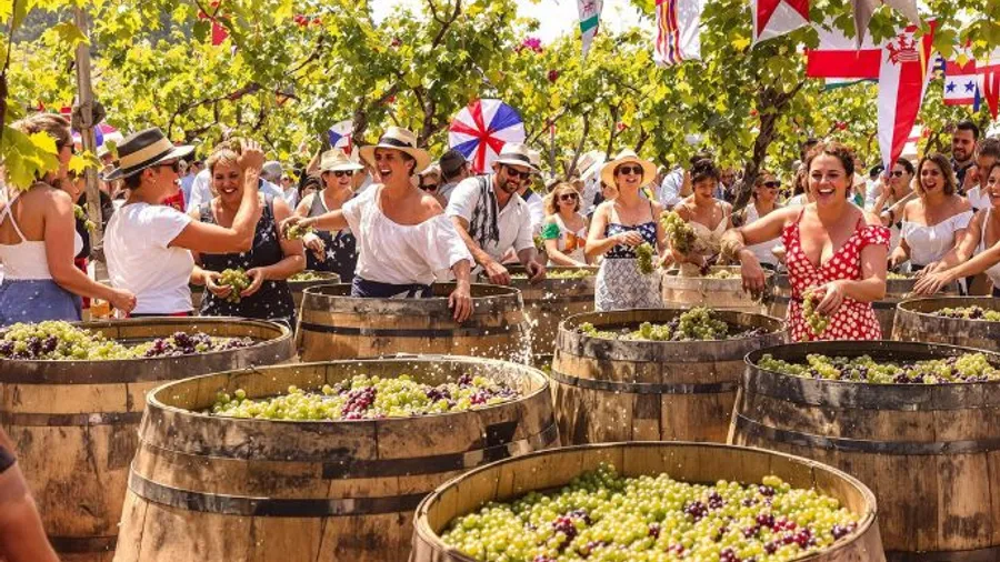 Imagen de Actividad: cmdymqeao0nkd2xzhm0yfo0o2