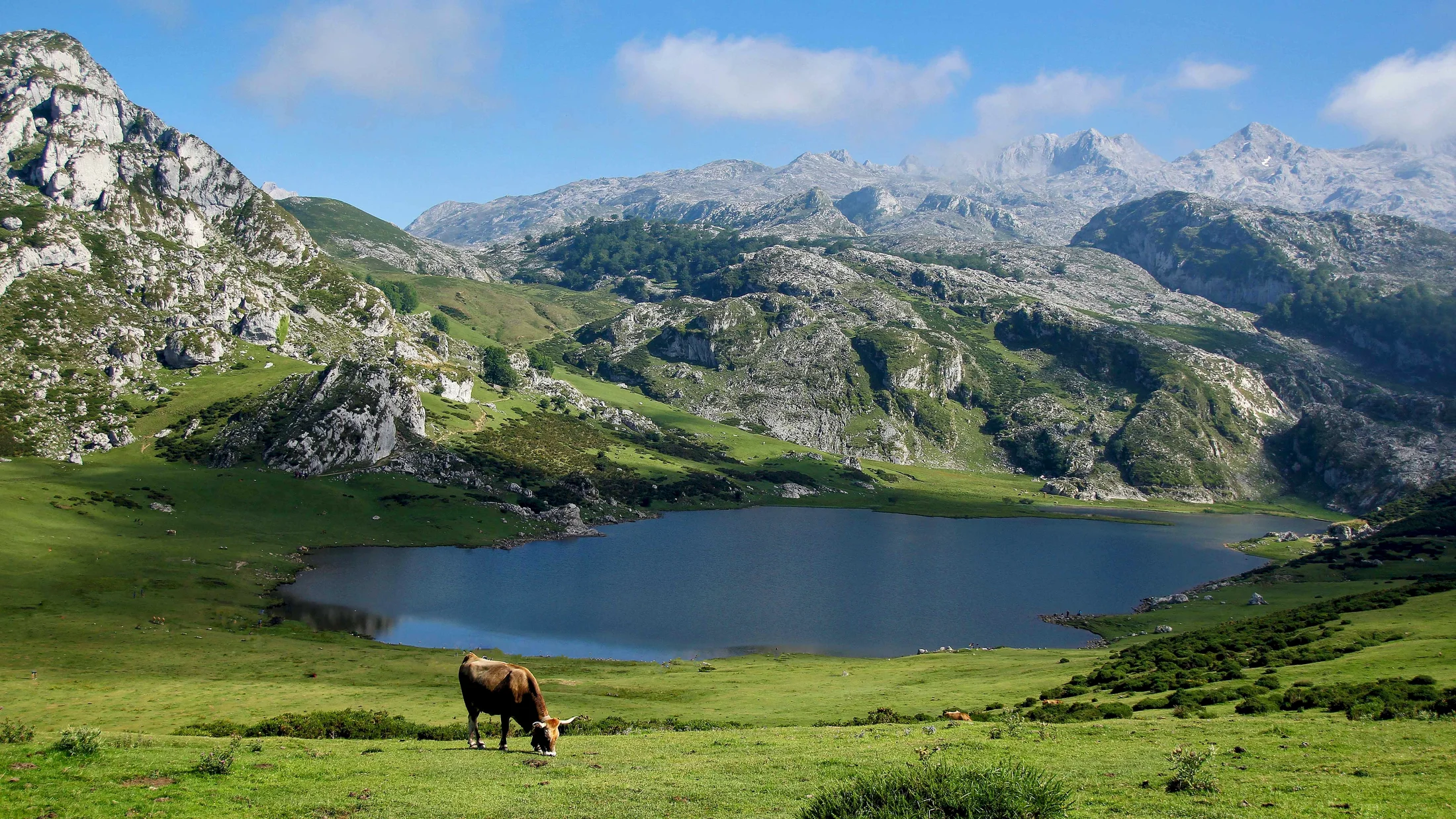 Imagen de Región: cmcjdd3p50059ik8pxakpkonf