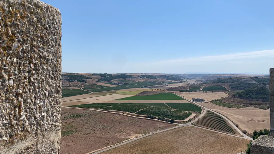 Visita y cata en Pago de Carraovejas (Peñafiel)