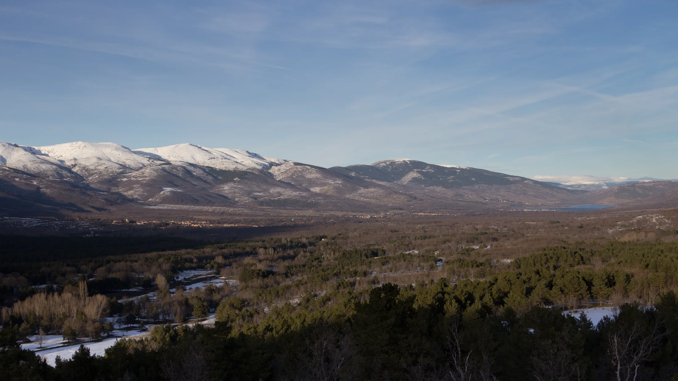 Imagen de Artículo de Blog: cmh3nlqrr006r12svke504fln