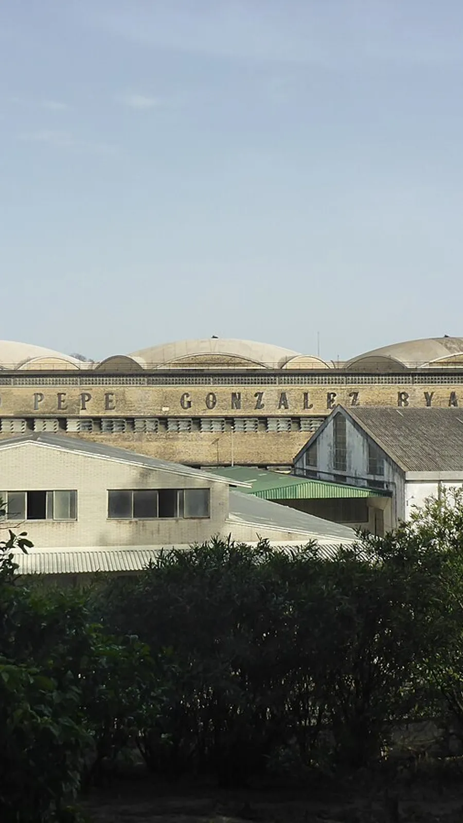 González Byass (Tío Pepe)