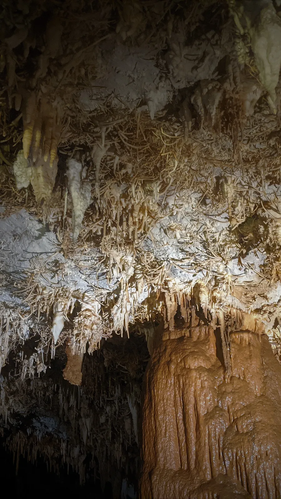 Pozalagua Cave