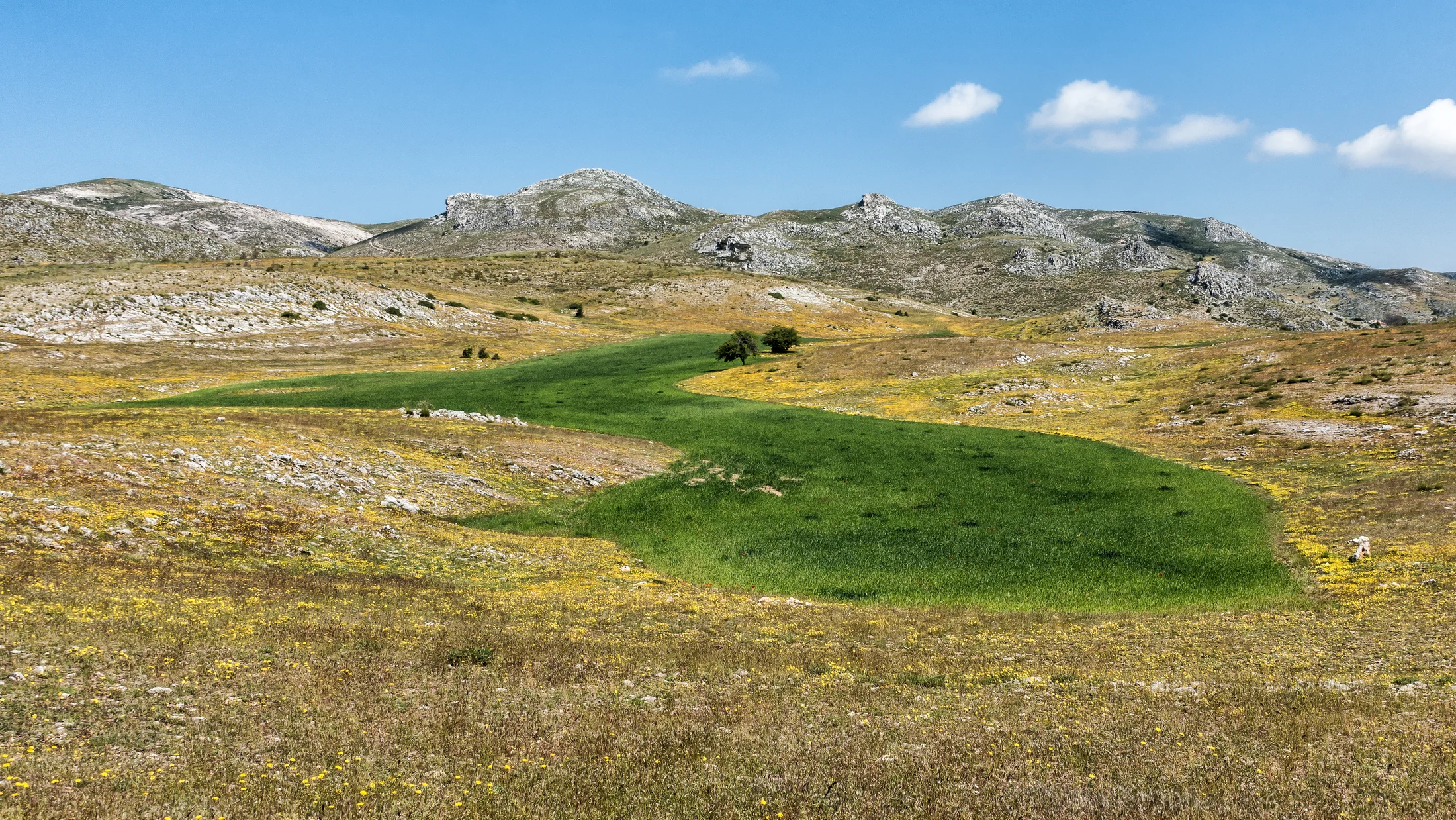 Campos de Hernán Perea, high plateau in Sierra de Segura Natural Park