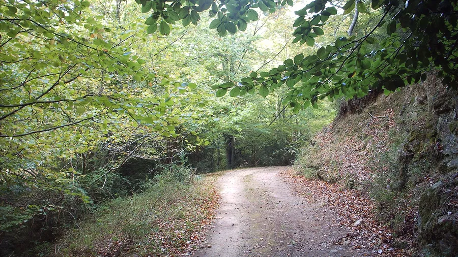 Parque Natural de la Tinença de Benifassà