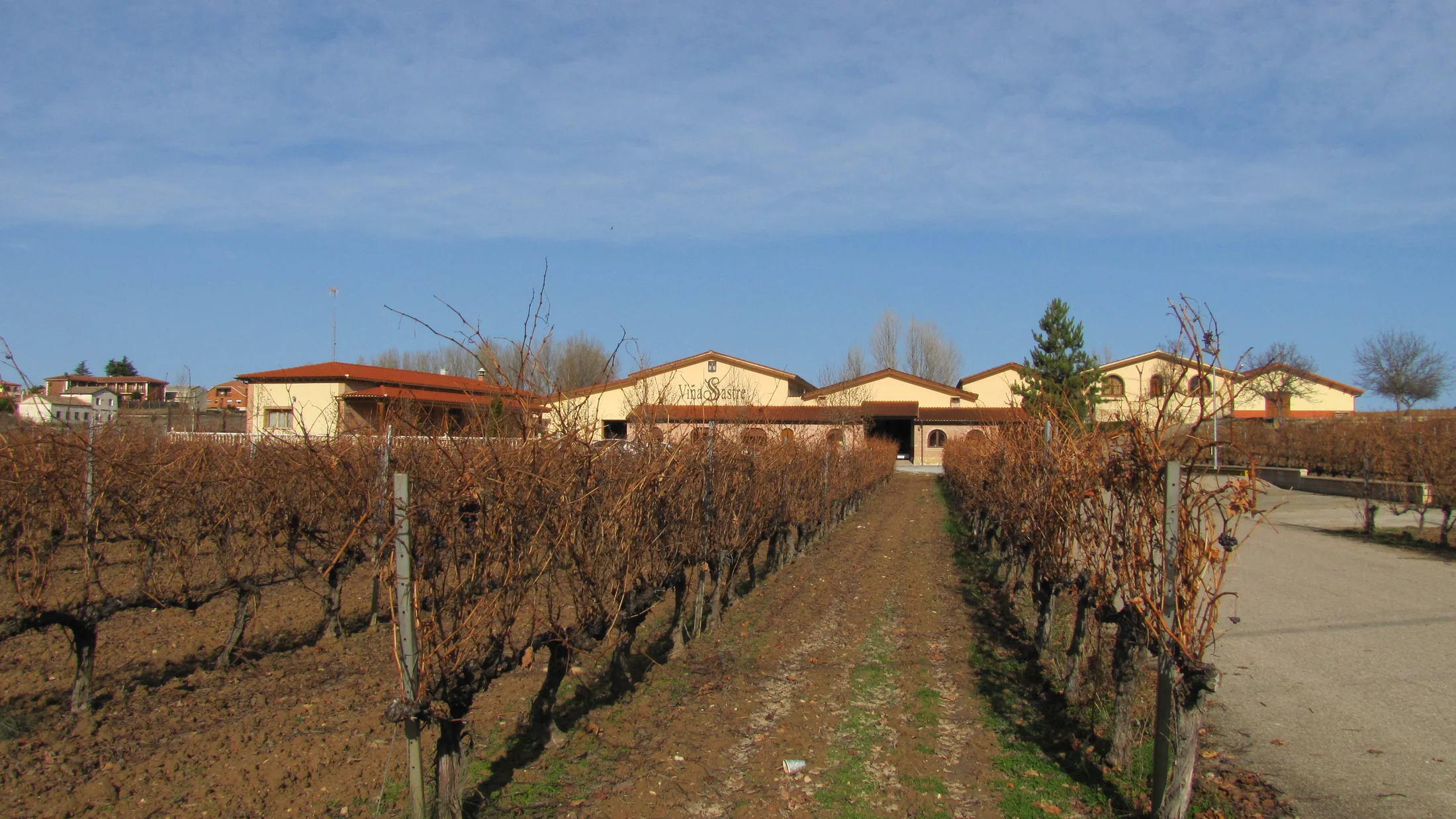 File:Viñedos Bodega Viña Sastre   Hermanos Sastre Ribera del Duero.JPG