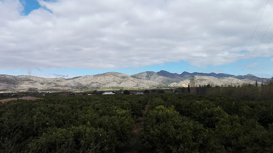 Castellón de la Plana