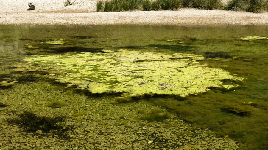 Imagen de Región: cmcncq1do0hyjzr5pwe8ek00r