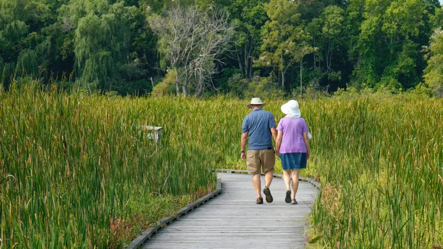 Imagen de Artículo de Blog: Senderismo para mayores de 60: 10 rutas adaptadas con poco desnivel y mucho paisaje