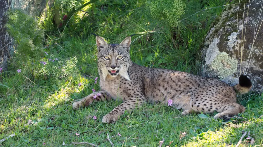 Imagen de Región: cmcnc9cxc0hg9zr5pfoqmvelp