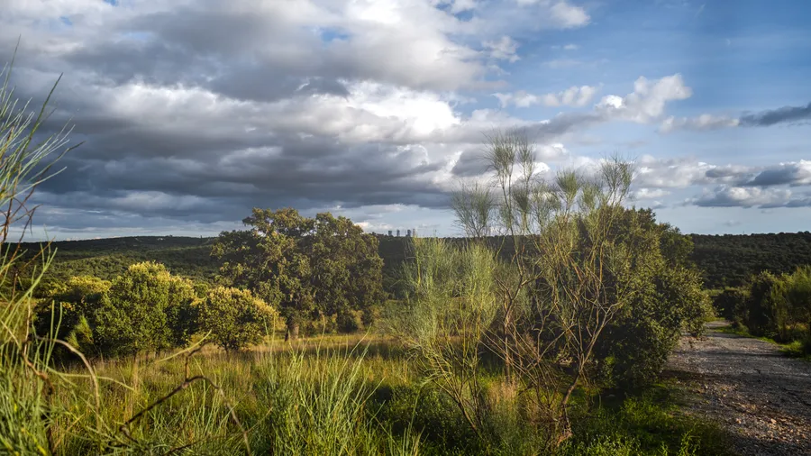 Imagen de Artículo de Blog: Escapadas a menos de 2 horas de Madrid que no conocías