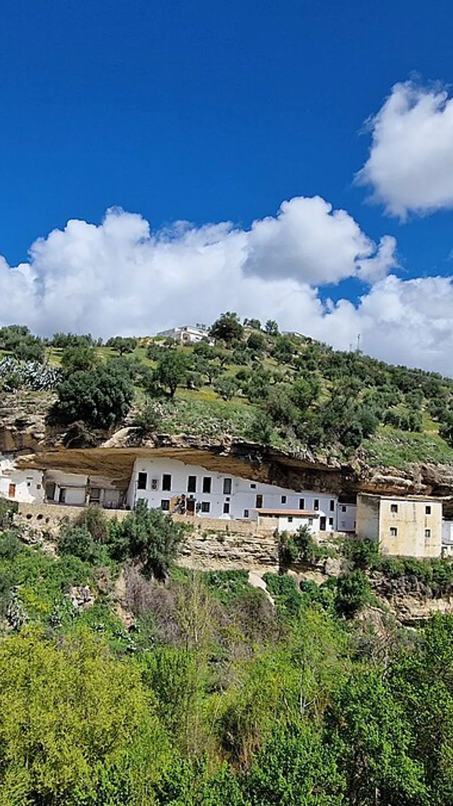 Setenil de las Bodegas