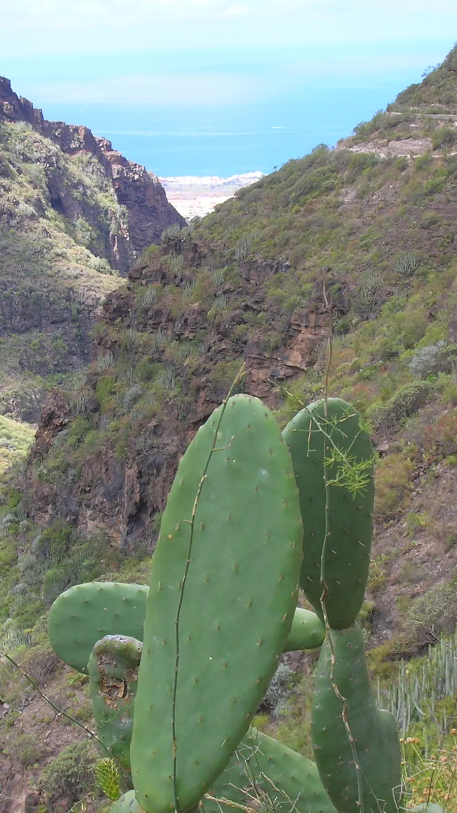 Barranco del Infierno