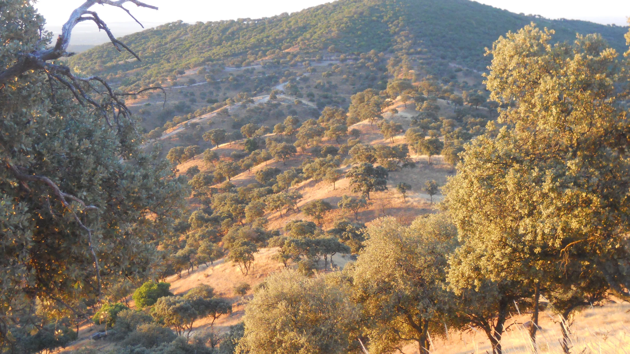 File:Sierra de Andujar.jpg