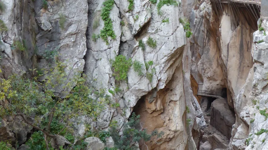 Imagen de Región: cmcjdd1mp004hik8p300d57hi