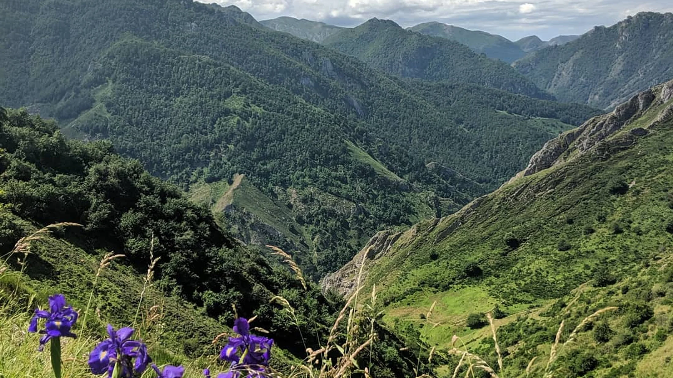 Imagen de Región: cmcjdd40c005dik8p73skurnw