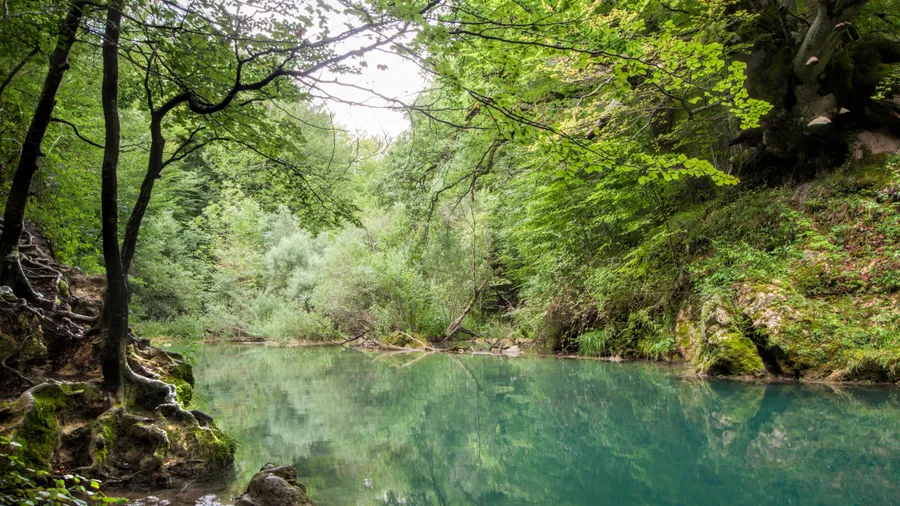 Urederra River Source