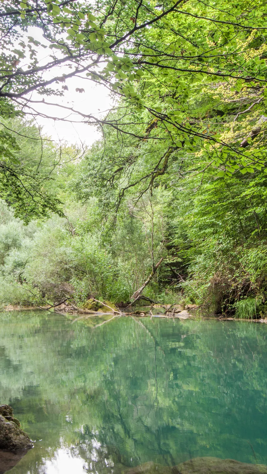 Source of the Urederra River