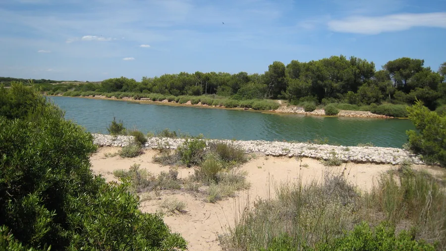 Imagen de Región: cmcjb26bs0009ik8p0i34z3sm