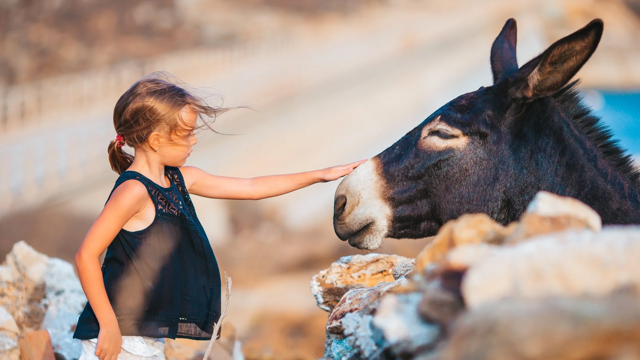 Caminar con animales (burros, llamas, alpacas…)