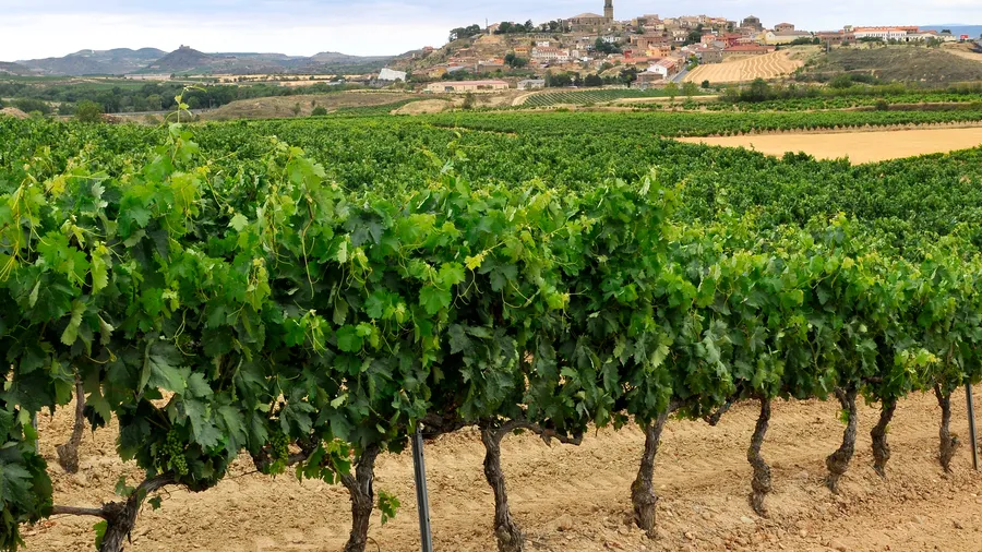La Rioja