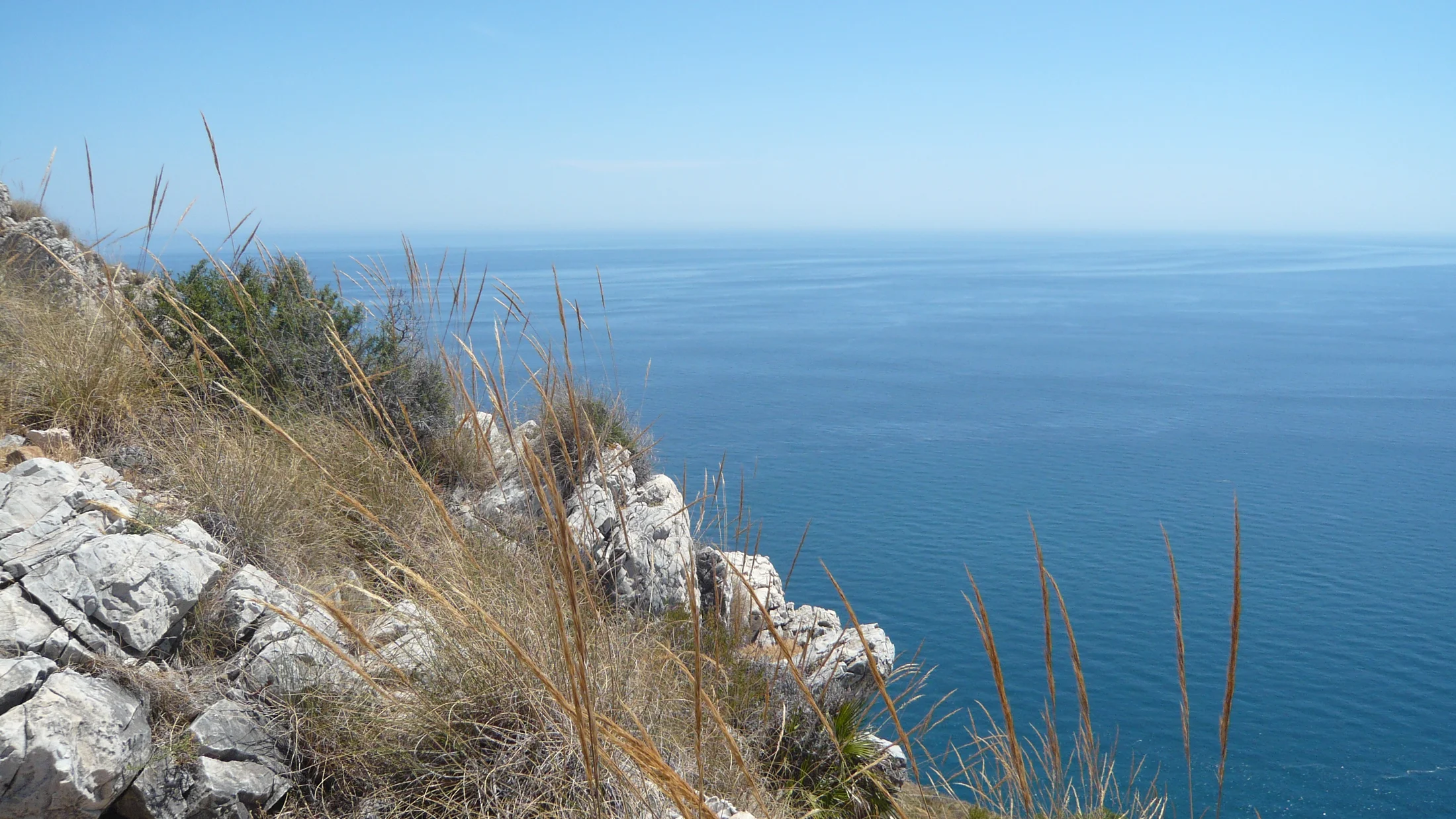 Imagen de Región: cmcjddac5007pik8pmpdl8zzg