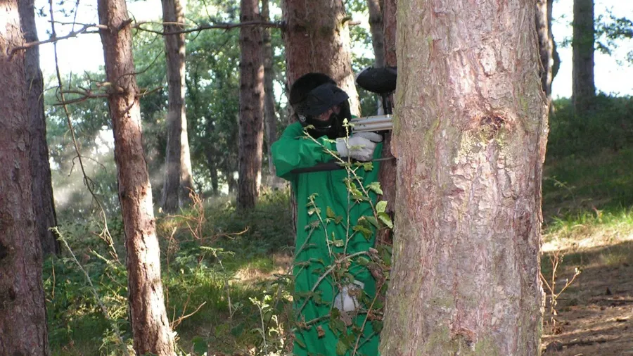 Batalla de paintball en el Pinar de Cepeda, Belorado