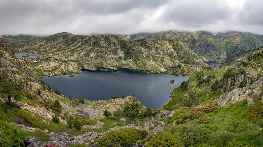 Imagen de Región: cmcncpzqp0hxvzr5pv4cvxadd