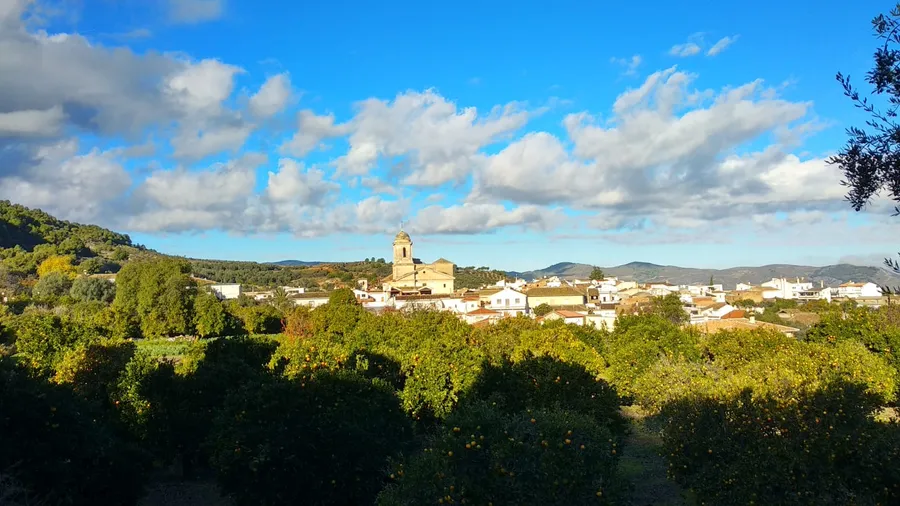 Horseback Riding in the Lecrín Valley, Between Sierra Nevada and the Tropical Coast