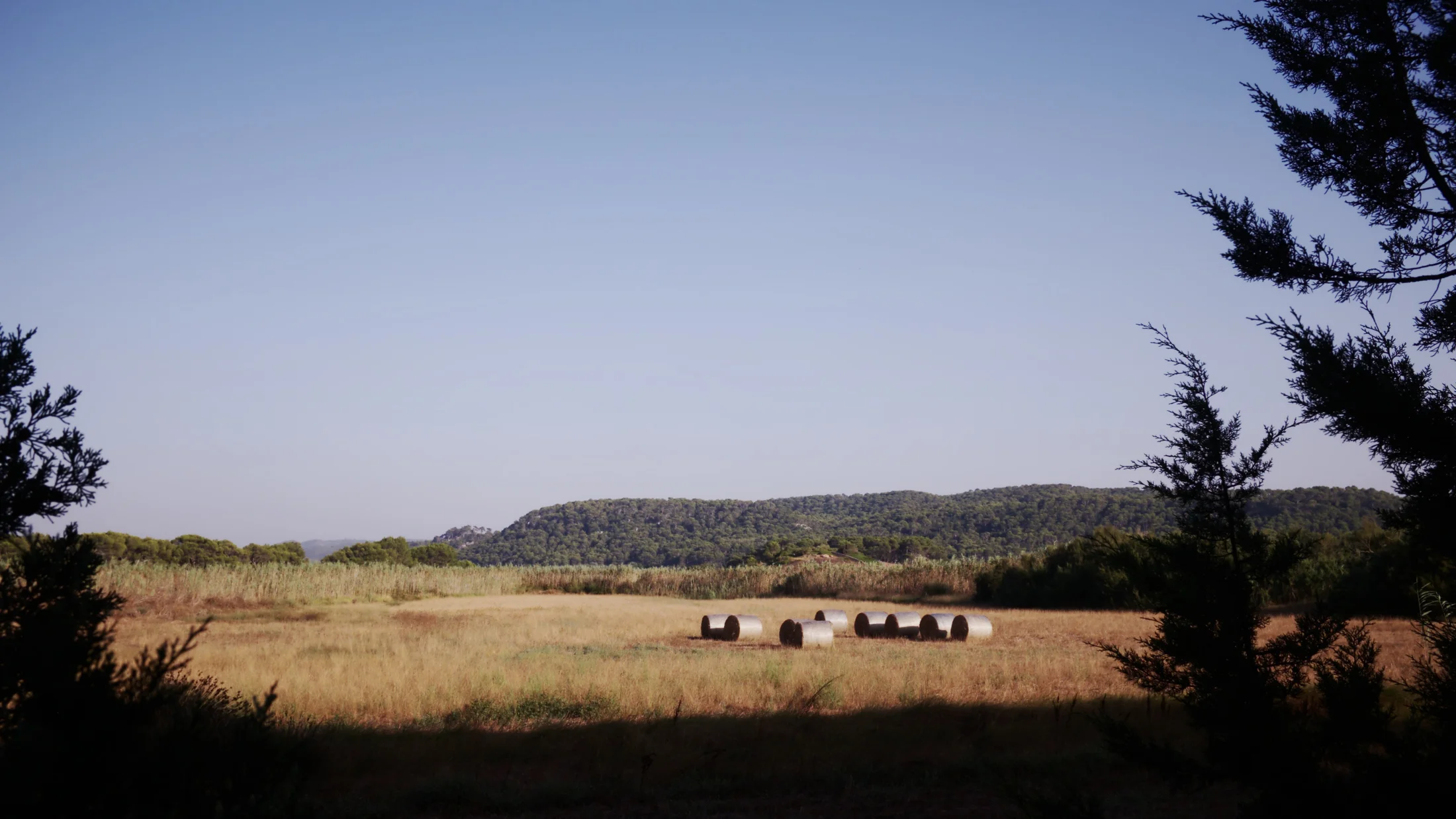 Imagen de Artículo de Blog: cmibdc6h4000y83waf4gmo5r4