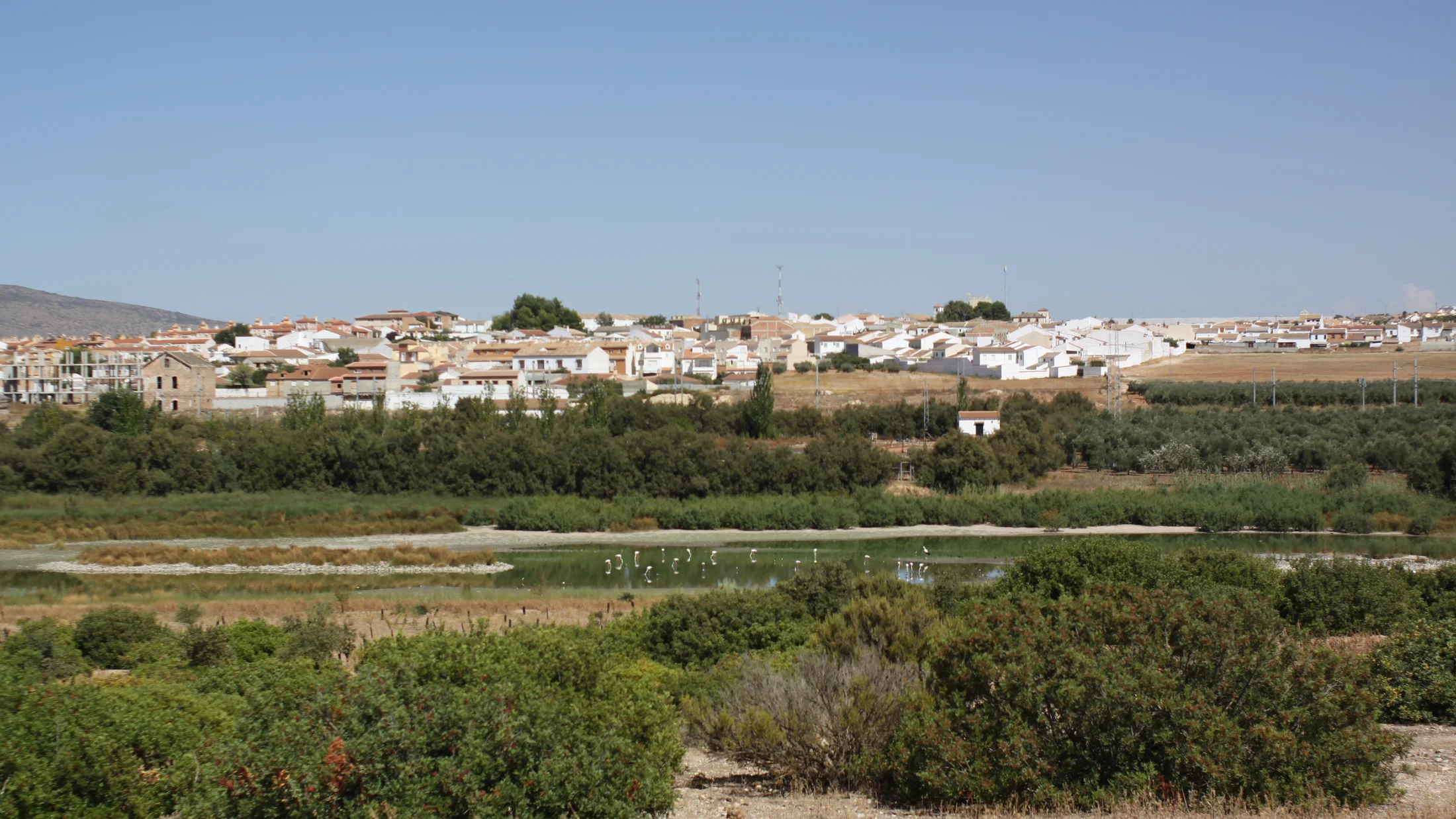 Imagen de Región: cmcjdd12b0049ik8pz02y902q