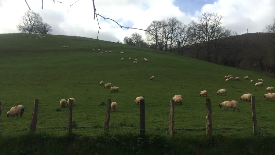 Cuevas de Urdazubi/Urdax